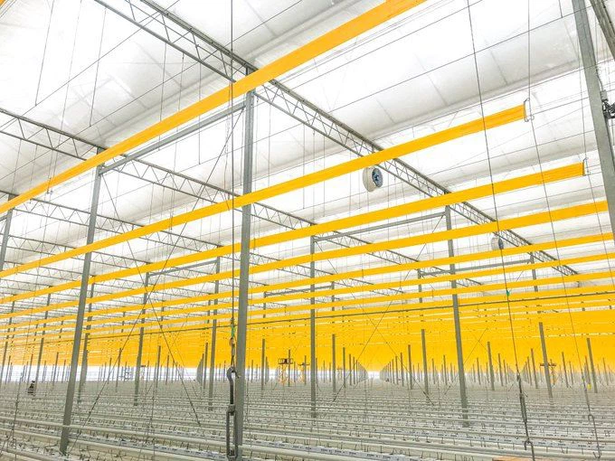 transparent frosted PP