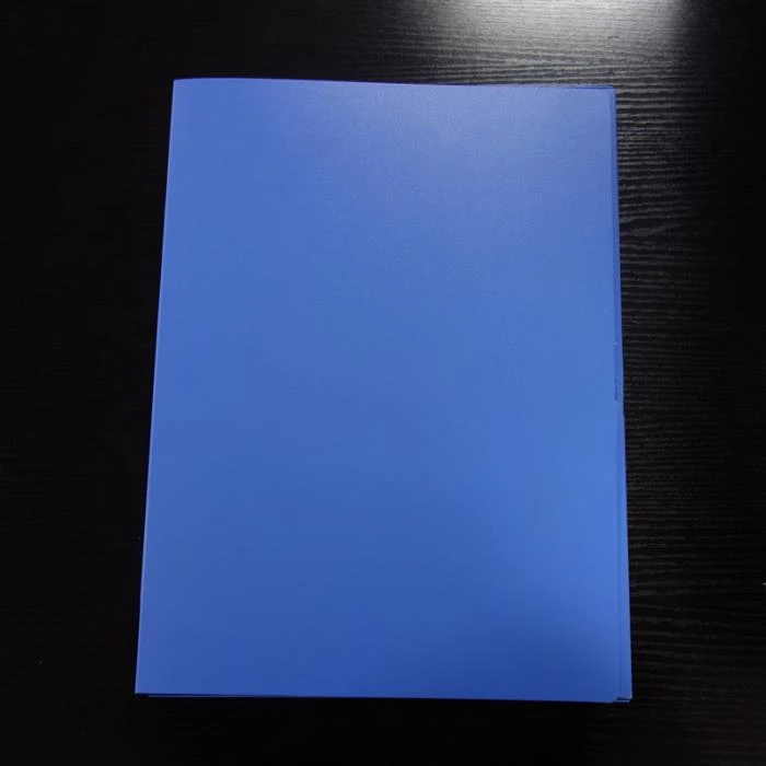 PP Plastic File Box
