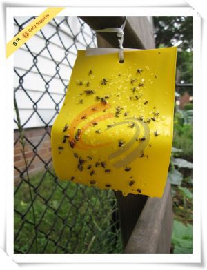 Yellow Insect Glue Board Pp Sticky Roll Trap