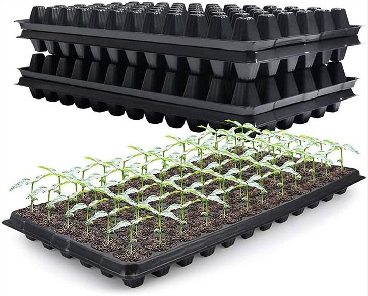 PP Plastic Seeding Tray