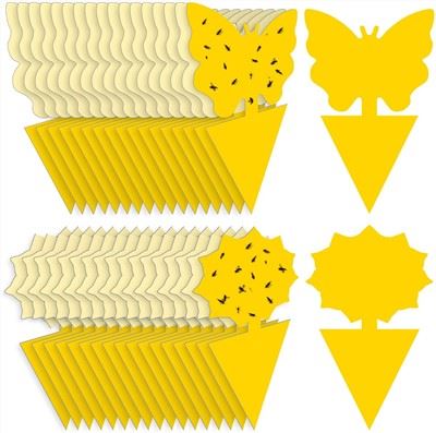 Trap And Fungus Gnat Traps Killer For Indoor And Outdoor