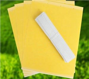 Glue Fly Trap