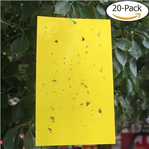 Pheromone Yellow Sticky Trap